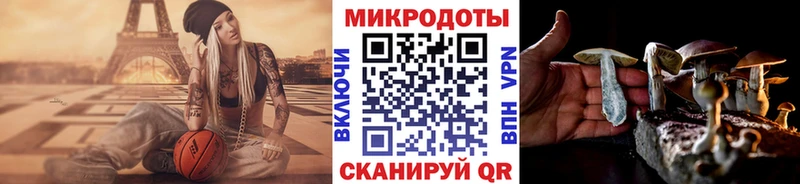 мега рабочий сайт  Мурино  Галлюциногенные грибы Psilocybe 